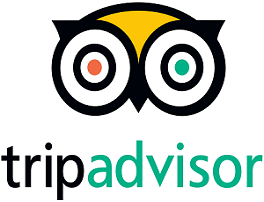 avis tripadvisor